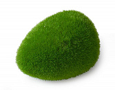 Aqua D'ella moss ball L