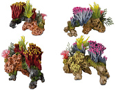 Aqua D'ella coral set medio colored assorti