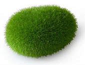 Aqua D'ella moss ball S
