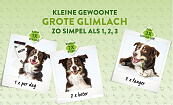 WHIMZEES Week Bag Stix M 7 st