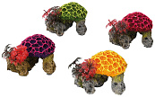 Aqua D'ella coral set mini with plants assorti