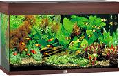 Juwel aquarium Rio 125 LED donkerbruin