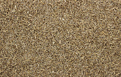 Graszaad 750 gr