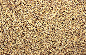 Paddy 25 kg