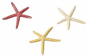 Aqua D'ella starfish S assorti