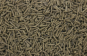 Chinchillakorrels 1 kg