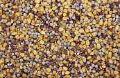 Populair Duivenvoer <br>20 kg
