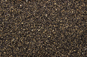 Distelzaad 800 gr