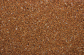 Milletzaad Rood 20 kg