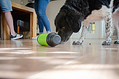 Eat Slow Live Longer Feed and Treat blauw