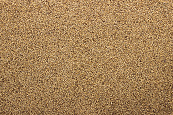 Panicum - Senegalgierst 20 kg