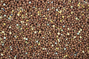 Maple Peas 20 kg