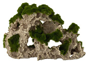 Aqua D'ella moss rock 3