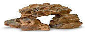 Aqua D'ella dragon <br>rock 1