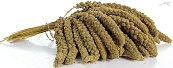 Trosgierst 5 kg