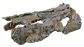 Aqua D'ella bark