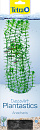 Tetra DecoArt Plantastics Anacharis L