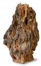 Aqua D'ella dragon <br>rock 2
