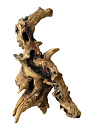 Aqua D'ella mopani wood 5