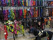 Impressie winkel