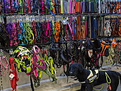 Impressie winkel