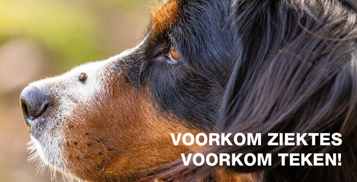 De Week van de Teek 