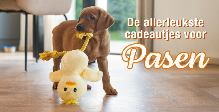 Vrolijk Pasen!