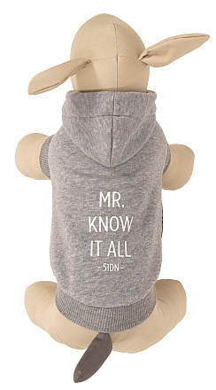51 Degrees North Sweater + tekst light grey