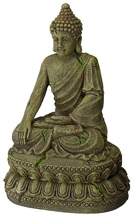 Aqua D'ella Bayon Buddha 3