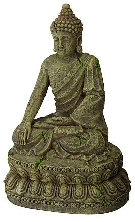Aqua D'ella Bayon Buddha 3