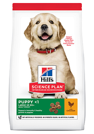 Hill's Science Plan Puppy Large Breed kip 2,5 kg