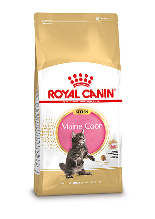 Royal Canin Kattenvoer Maine Coon Kitten <br>10 kg