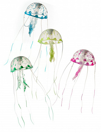 Aqua D'ella jellyfish S assorti