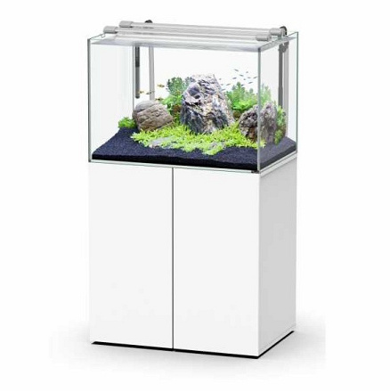 Aquatlantis Aqua Scape Set Wit 80 x 55 cm