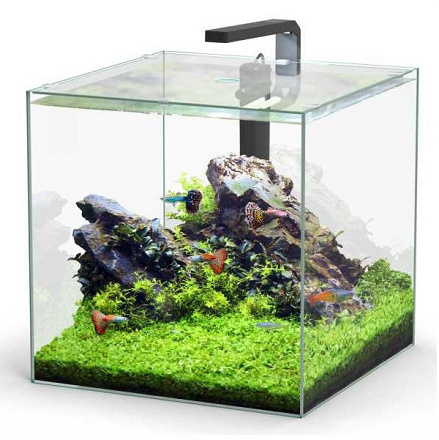 Aquatlantis aquarium Volglas Kubus 54 ltr incl LED