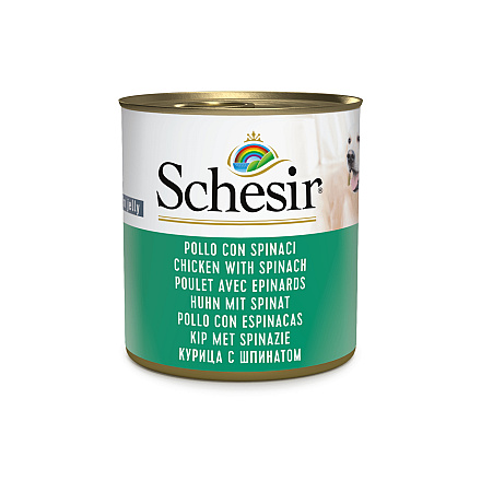 Schesir Hondenvoer Kip/Spinazie Gelei<br> 285 gr