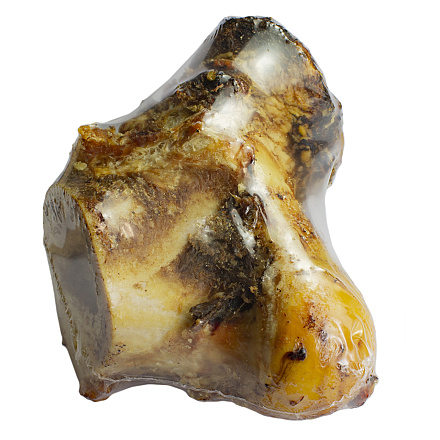 Runderknokkel <br>ca. 14 cm