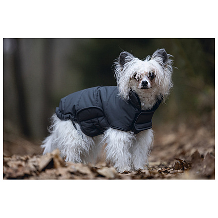 Designed by Lotte Hondenjas Zhanti Grijs