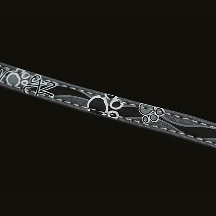 Rogz Kattenhalsband Nightcat Zwart Paws