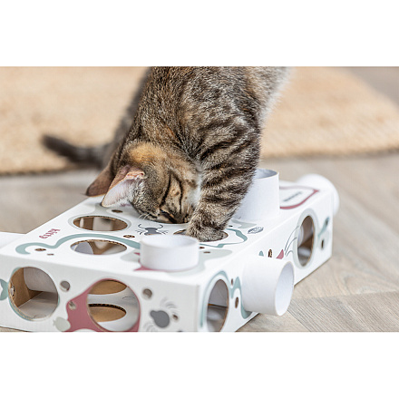 TRIXIE Cat Activity Paws'n'Treats Box