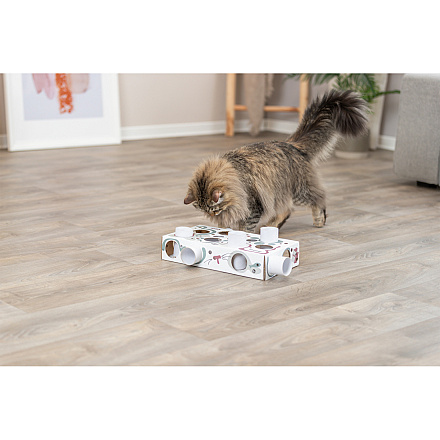 TRIXIE Cat Activity Paws'n'Treats Box