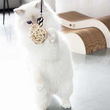 D&D I Love Happy Cats Kattenspeelgoed Miles