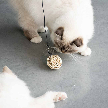 D&D I Love Happy Cats Kattenspeelgoed Miles