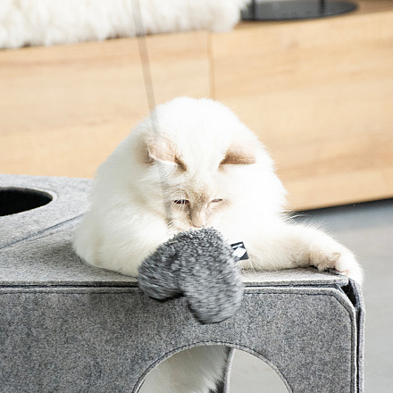 D&D I Love Happy Cats Kattenspeelgoed Stella Assorti