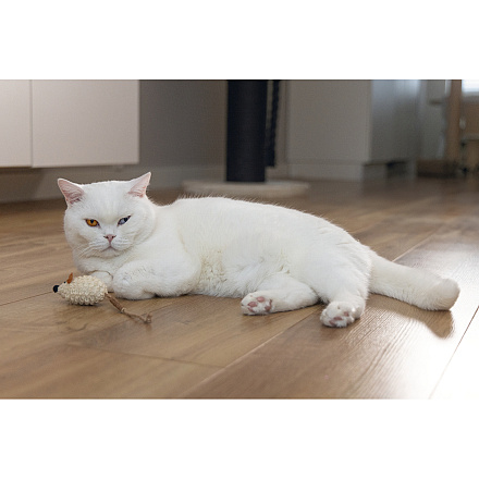 Beeztees Kattenspeelgoed Muisje Bowie Matatabi