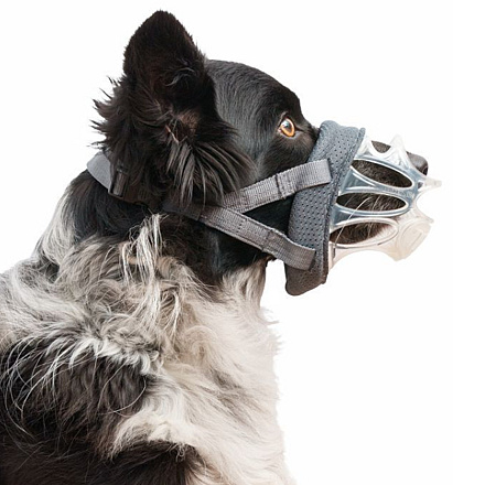 Baskerville Muilkorf Invisa