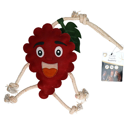 Excellent Horse Foodie Friends Raspberry