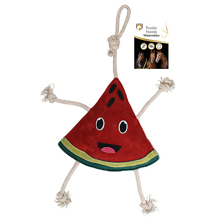 Excellent Horse Foodie Friends Watermelon