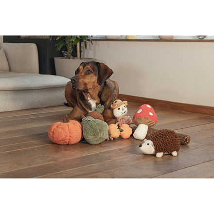 Beeztees Hondenspeelgoed Pompoen Petar