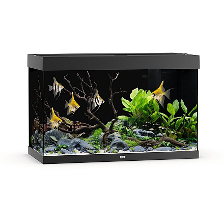 Juwel Aquarium Rio 290 LED met Filter Zwart